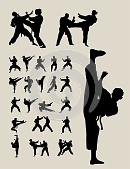 Taekwondo and Karate Silhouettes photo