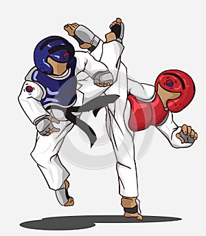 Taekwondo martial art