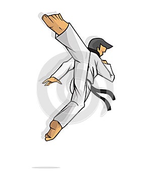 Taekwondo. Martial art