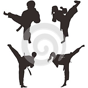 Taekwondo Shillouette