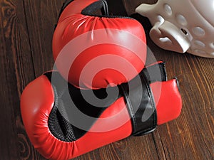 Taekwondo sparring gloves