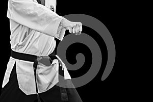 Taekwondo Traditional Korean Male Fighter Punch Fist photo