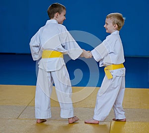Taekwondo: two boys training