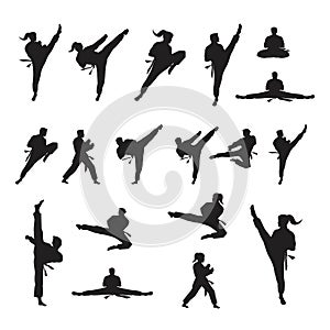 Taekwondo Vector icon design