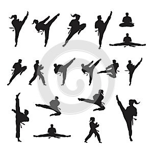 Taekwondo Vector icon design photo