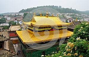 Taer Temple golden top