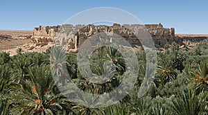 Tafilalet and Rissani