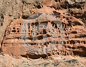 Tafoni weathering in red sandstone photo