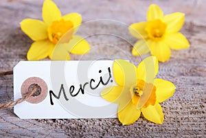 Tag with Merci photo