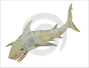 TAG SHARK logo emblem