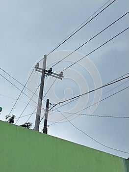 Tagled electrics cable