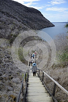 Tagus Cove, Isabela Island, Galapagos Islands