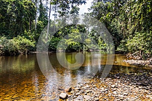 Tahan river in Taman Negara national park, Malaysi