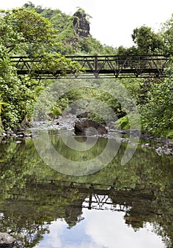 Tahiti. The bridge through the river in mountains