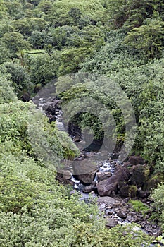 Tahiti.Tropical nature and mountain river