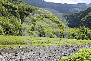 Tahiti.Tropical nature and mountain river