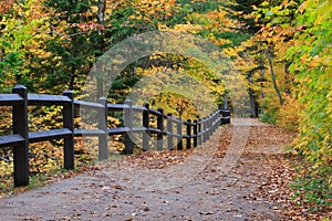 Tahquamenon Falls Path in Autumn