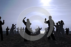 Tai Chi Beach I