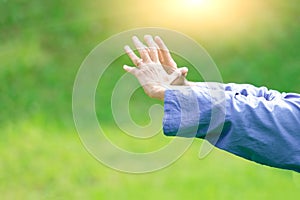 Tai Chi Chuan in the sun in the nature