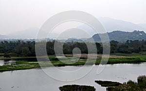 Tai Sang Wai Wetland photo