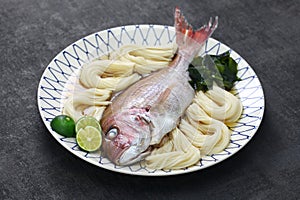 Tai somen, Japanese sea bream noodles photo