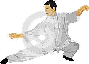 The Taichi Chinese Martial Art photo