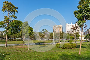 Taichung Xinping Park in blue sky sunny day. Taichung City, Taiwan