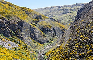 Taieri Gorge railway on side of ravine with bridge