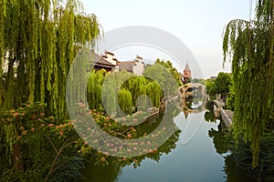 La città verdure, 