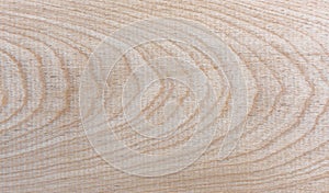 Natural Taiga birch wood grain texture pattern background