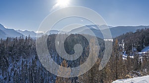 Taiga on the hillsides. Coniferous trees are covered with snow. photo