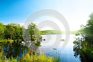 Taiga and lake photo