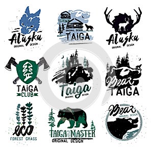 Taiga logo sign. Forest logotype. Bear taiga emblems. Vintage Camping logo.