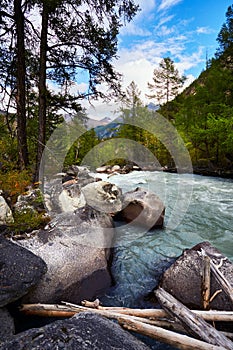 Taiga and the rough river with big stones