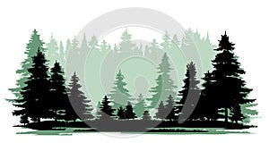 Taiga view. Coniferous forest with firs and pines. Landscape with trees and grass. Silhouette picture. Isolated on white