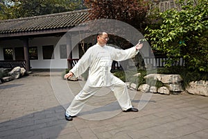 Taiji master