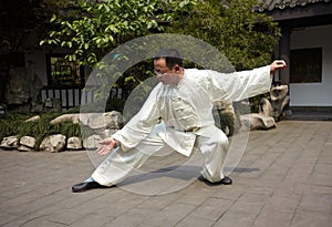 Taiji master