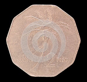 Tail of a 2 piso coin, issued by Republic of the Philippines in 1986 depicting a coconut palm