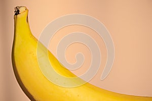 Tail of a bright yellow single banana in light against a blurred orange bokeh background. Place for text.