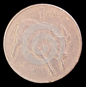 Tail of one piso coin, issued by Philippines in 1985 depicting a tamaraw dwarf buffalo