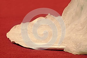 Tail of white bride dress on red carpet floor