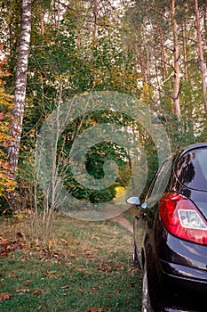 taillight opel corsa d in the autumn forest