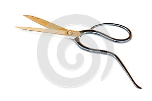 Tailor scissors photo
