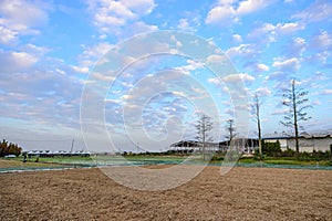 Tainan Liujia Linfengying, Taiwan - January 26, 2018: Linfengying farm in winter and surrounded with paddy field, taxodium distich