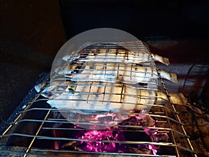 Tainha on gril toast on the coals