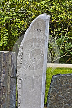 Taino Bird Petroglyphs 2 photo