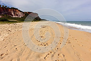 Taipe Beach - a Brazilian Tropical beach