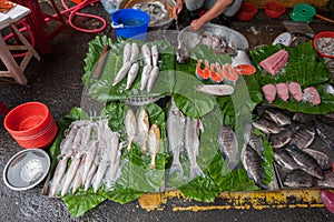 Taipei Street in one of suburb, district. Market Street in Taipei. Selling Fish