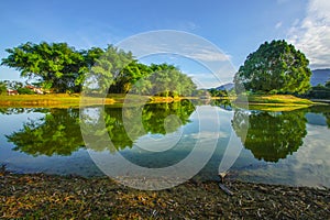 Taiping Lake Gardens