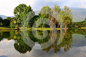 Taiping Lake Reflection